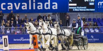 Cavaliada 2019