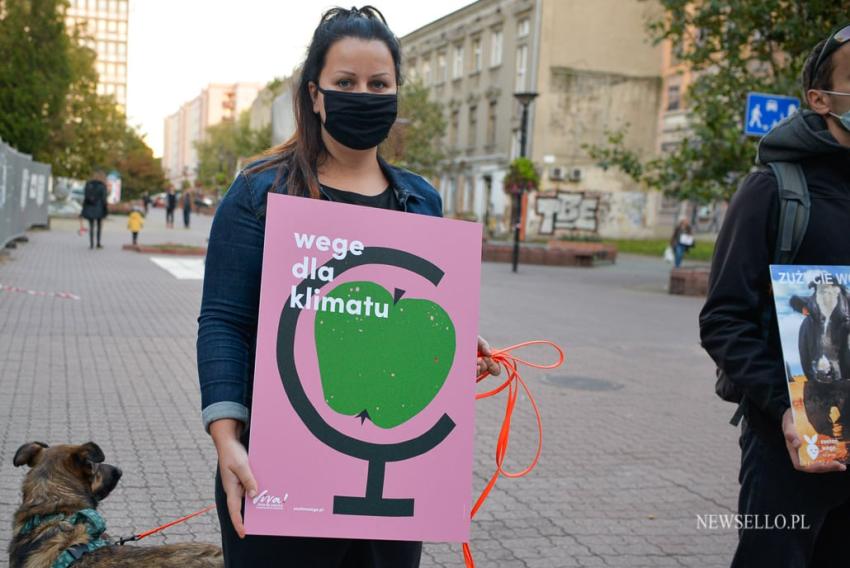 Wege dla klimatu - manifestacja w Łodzi