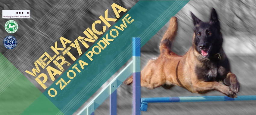 Wielka Partynicka - O złotą podkowę, kwalifikacje Mistrzostw Świata Agility