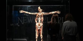 Wystawa Body Worlds w Gdańsku