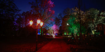 Światłogród - iluminacje w Ogrodzie Botanicznym