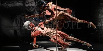 Wystawa Body Worlds w Gdańsku