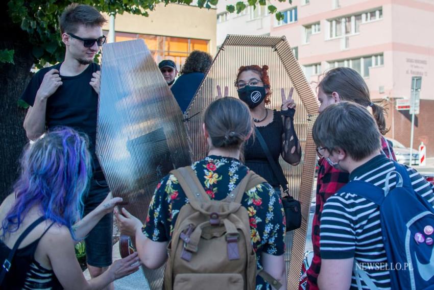 "Nie będziemy ofiarami" - demonstracja przeciw konwencji antyprzemocowej.