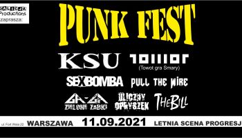 Punk Fest 2021 (materiały prasowe)