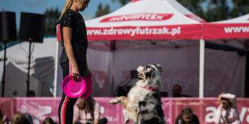 Latające Psy - Warszawa 2019