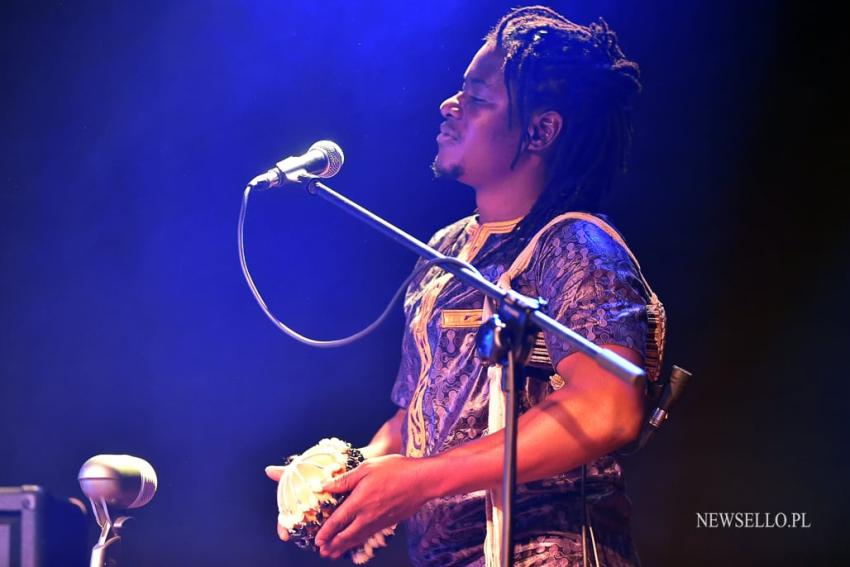 Ethno Jazz Festival: Bassekou Kouyate & Ngoni Ba