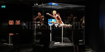 Wystawa Body Worlds w Gdańsku