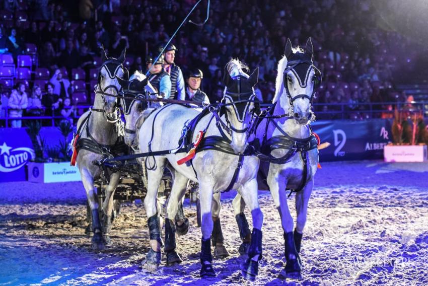 Cavaliada 2019