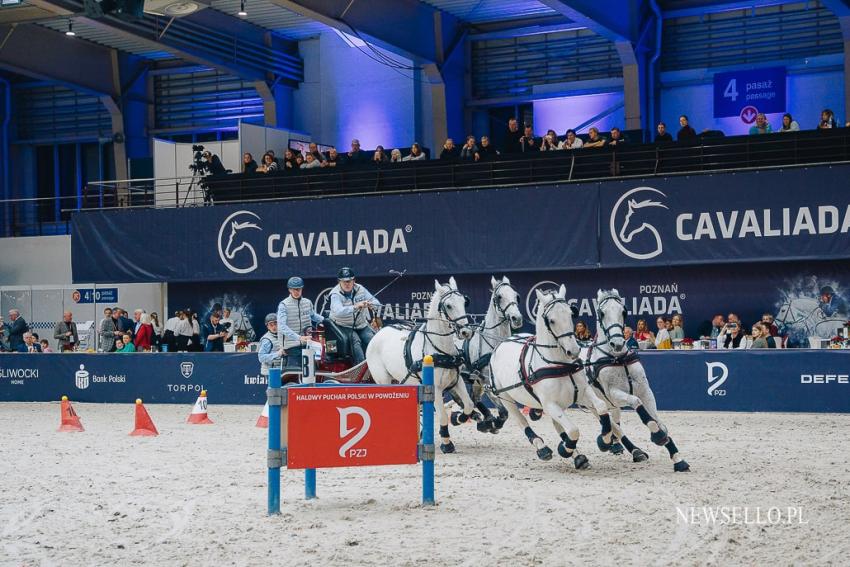 CAVALIADA Poznań 2022: Zaprzęgi na start