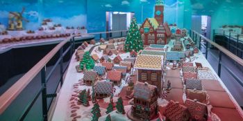 "Miasto z Piernika" w Kolejkowie - otwarcie makiety świątecznej