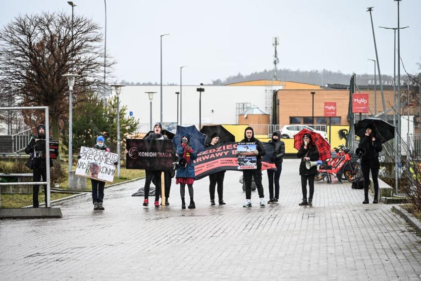 Finał Średniej Rundy - Cavaliada 2024