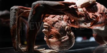 Wystawa Body Worlds w Gdańsku