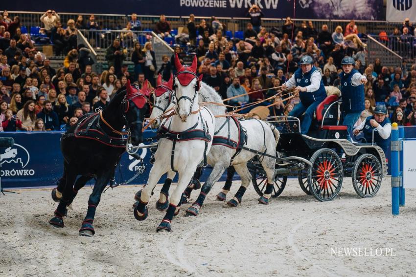 CAVALIADA Poznań 2022: Zaprzęgi na start