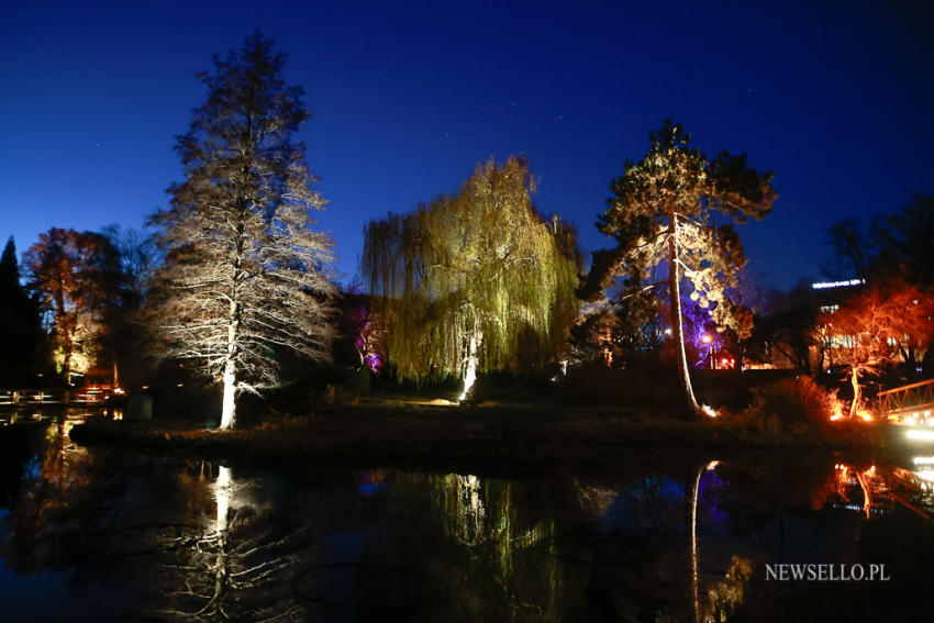 Światłogród - iluminacje w Ogrodzie Botanicznym
