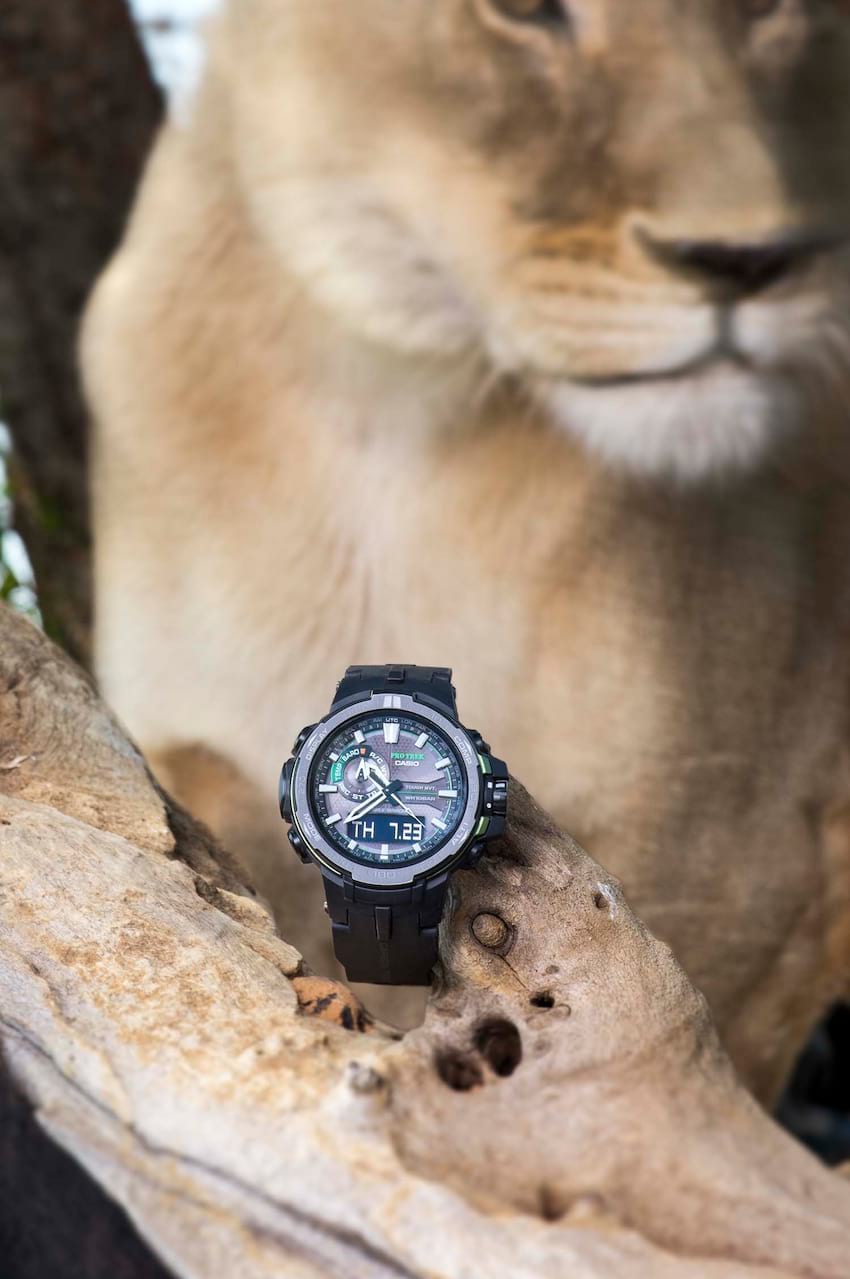 PROTREK PRW-6000Y (2500zł) & The Lion Whisperer