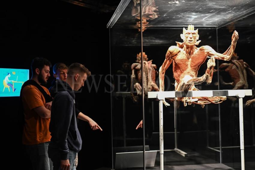 Wystawa Body Worlds w Gdańsku