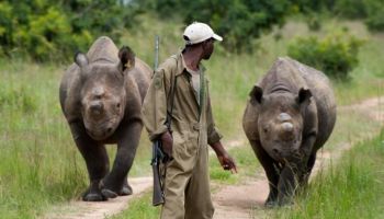 Craghopers włącza się w akcję Tomka Michniewicza by chronić nosorożce