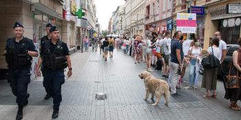 Tak dla Wolności! Nie dla Przemocy!