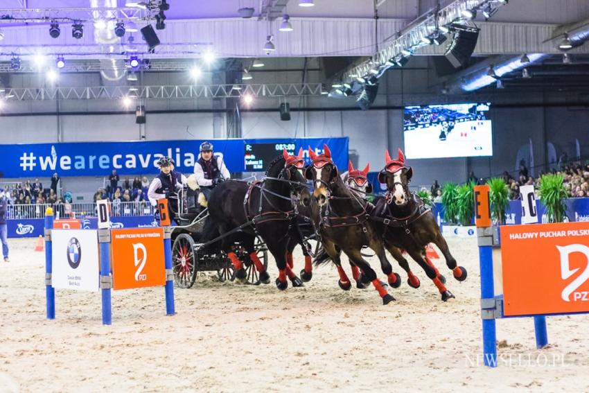 Cavaliada 2019