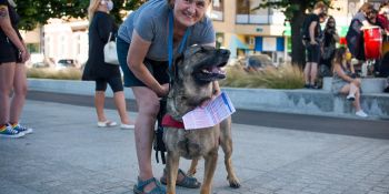 "Nie będziemy ofiarami" - demonstracja przeciw konwencji antyprzemocowej.