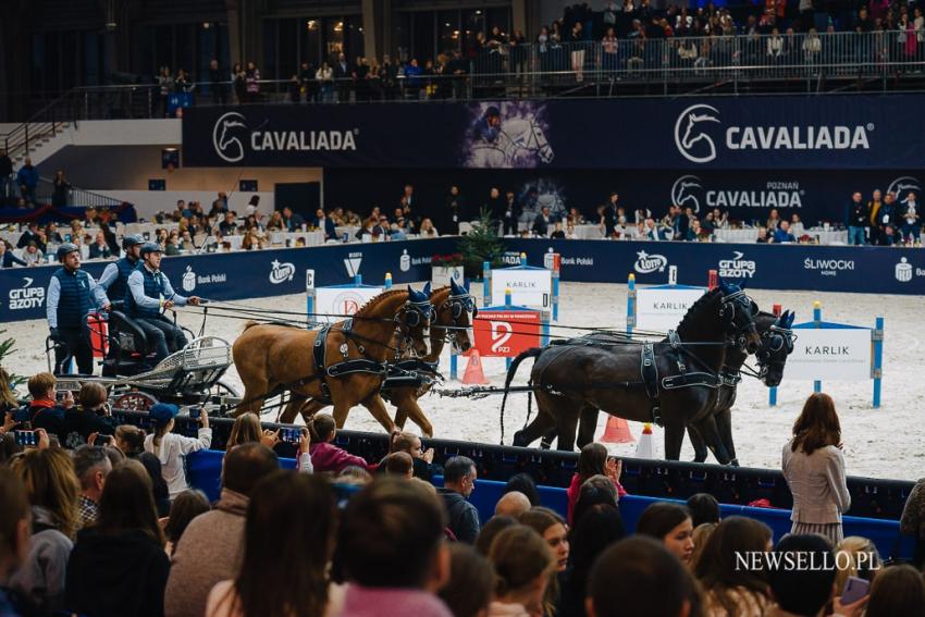 CAVALIADA Poznań 2022: Zaprzęgi na start