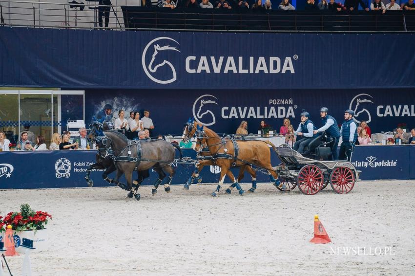 CAVALIADA Poznań 2022: Zaprzęgi na start