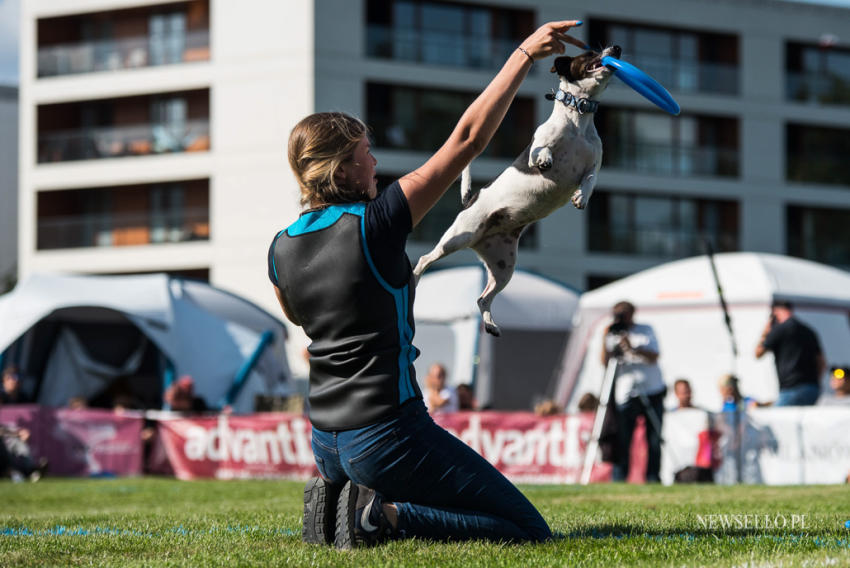 Latające Psy - Warszawa 2019