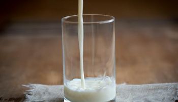 Ciekawostki na temat produktów mlecznych