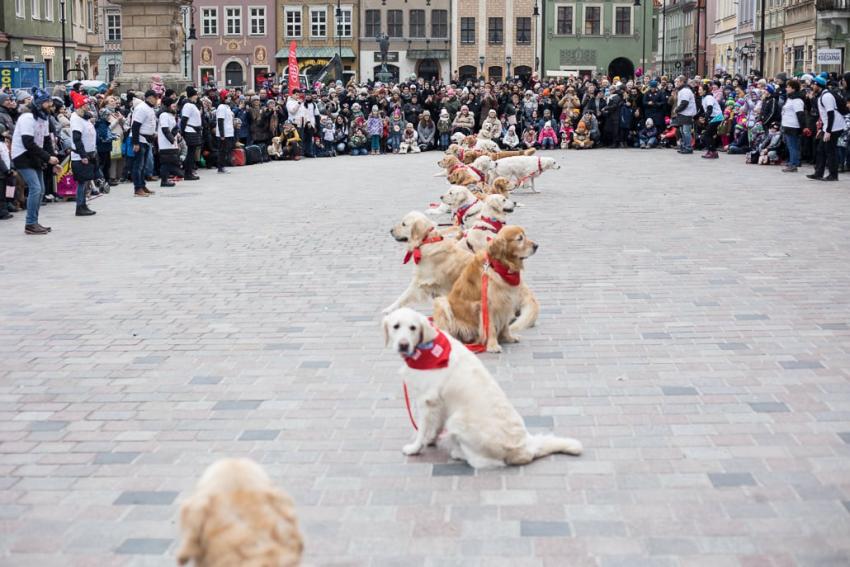 Finał WOŚP Poznań