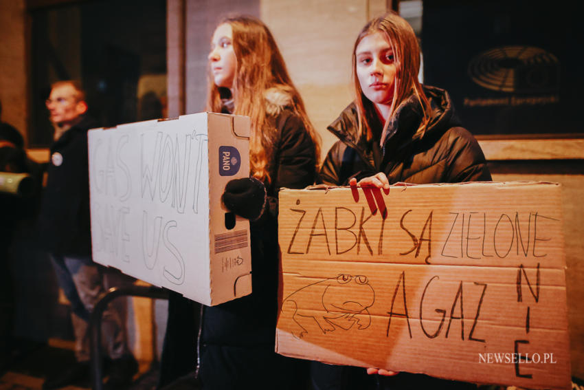 Młodzieżowy Strajk Klimatyczny - pikieta we Wrocławiu