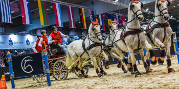 Cavaliada Poznań 2021 - dzień pierwszy