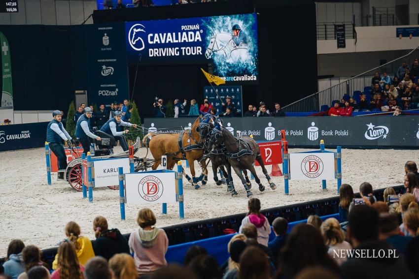 CAVALIADA Poznań 2022: Zaprzęgi na start