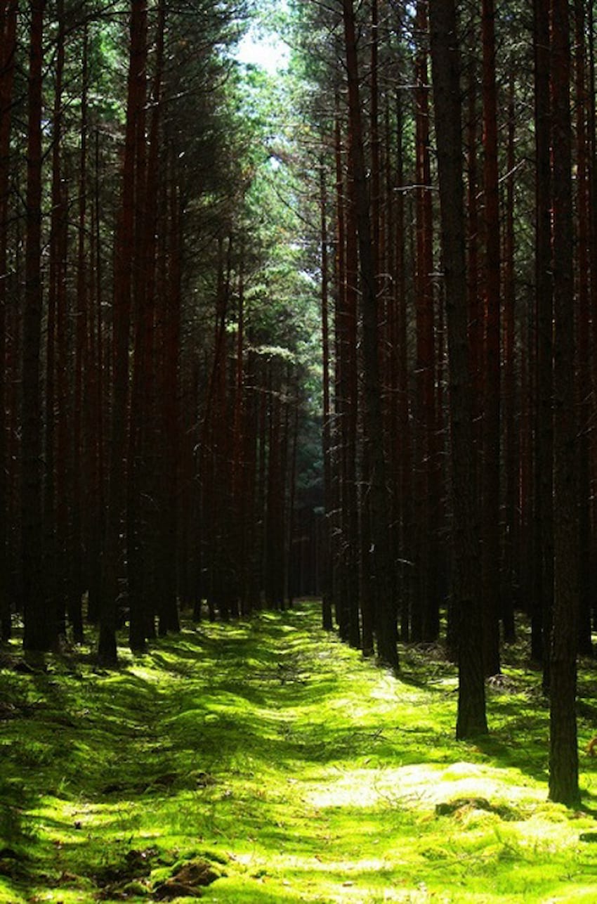 Fotografia Krajobrazowa Ewy Mizgały