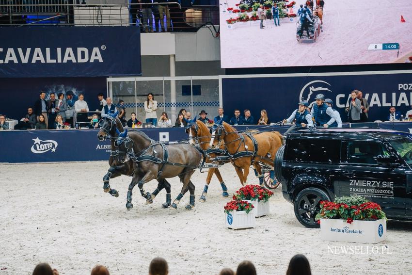 CAVALIADA Poznań 2022: Zaprzęgi na start