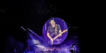 David Gilmoure