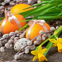 Życzenia wielkanocne 2026. Piękne, kr&oacute;tkie i gotowe teksty na Wielkanoc