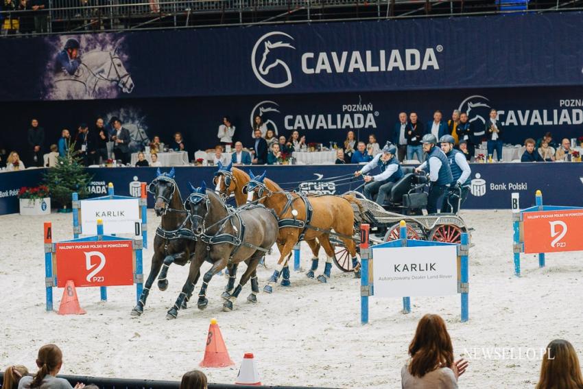 CAVALIADA Poznań 2022: Zaprzęgi na start